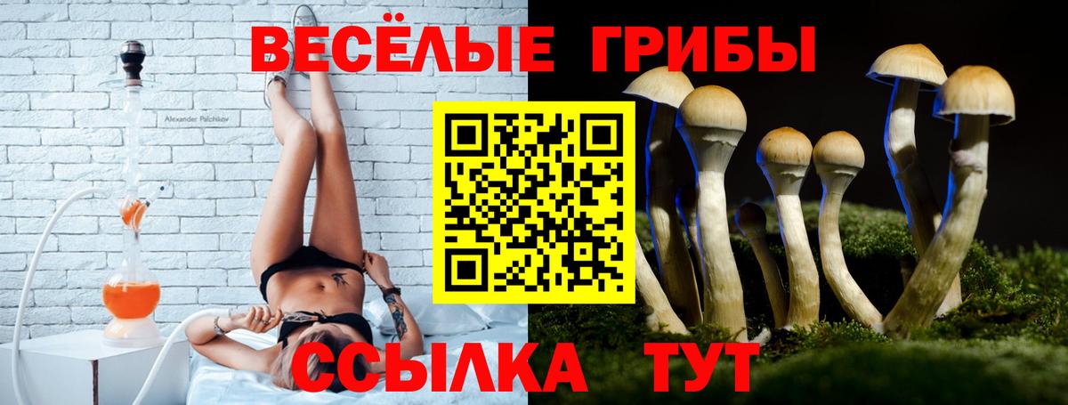 Псилоцибиновые грибы прущие грибы  Вход с VPN  Сарапул  Псилоцибиновые грибы мицелий 
