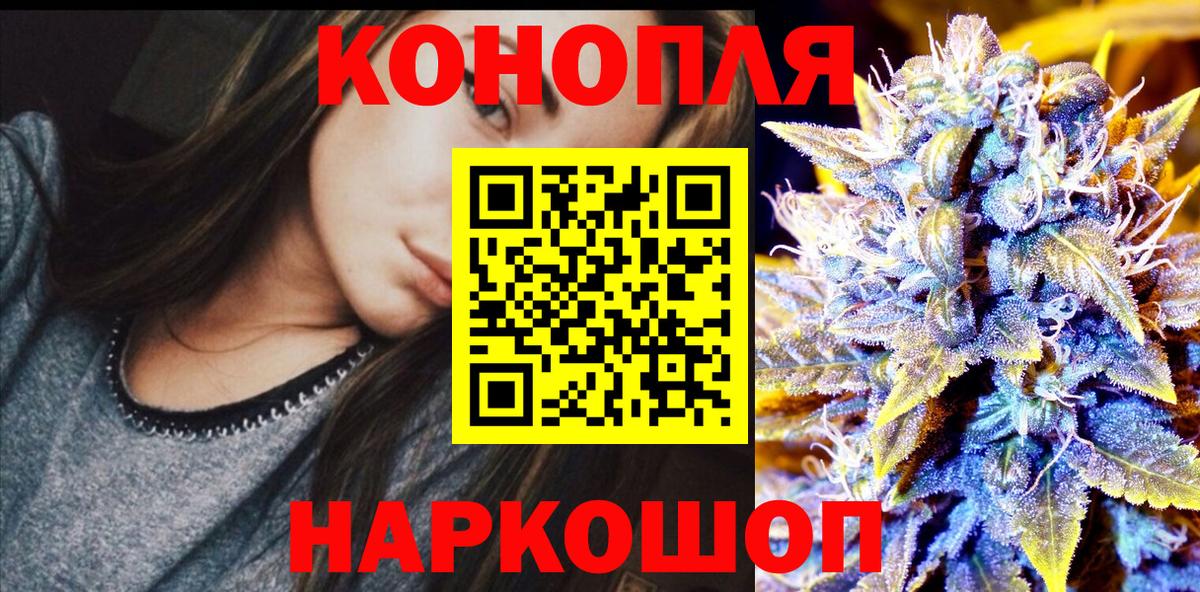 Конопля сатива Сарапул